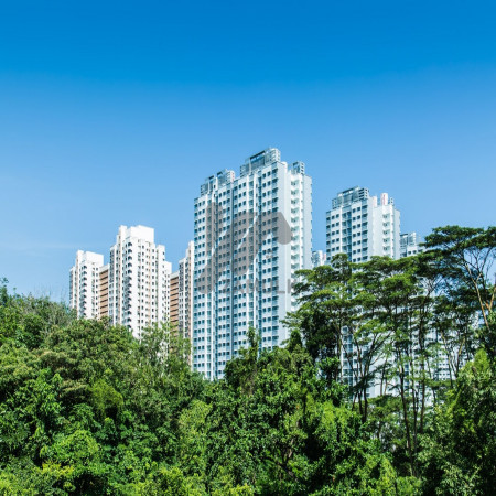 Flat For Rent In Silver Oaks Apartments