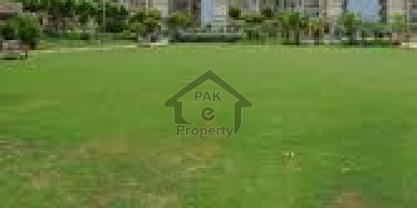 Agriculture Land For Sale