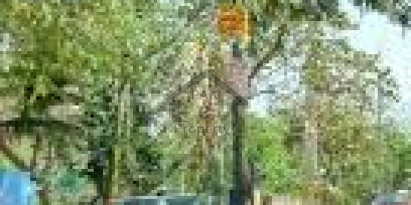 Commercial Plot Is Available For Sale