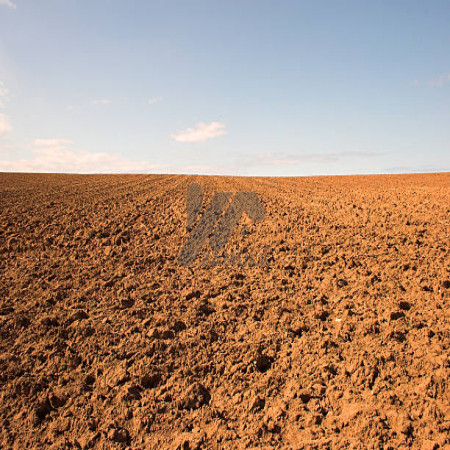 1 kanal Plot For Sale In D-13/3