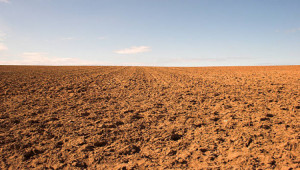 1 kanal Plot For Sale In D-13/3