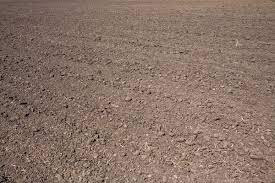 4 kanal Plot For Sale In Jail Road