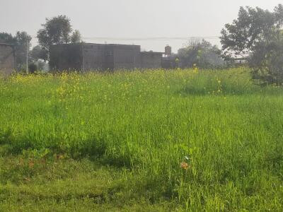 1 kanal Plot For Sale In The Life Residencia