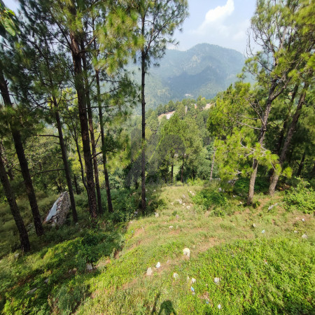 5 kanal farmhouse For Sale In Khariyan Road 40 foot front.