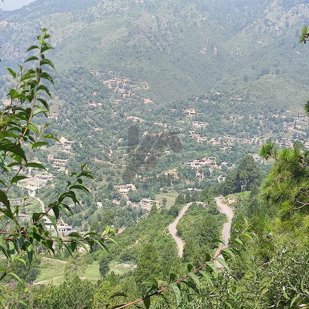 5 kanal farmhouse For Sale In Khariyan Road 40 foot front.