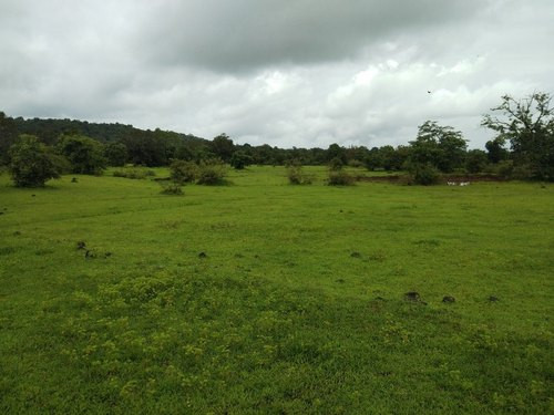 8 Kanal Agricultural Land For Sale In Bedian Road