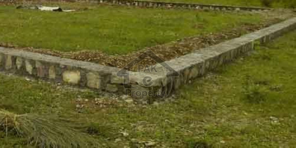 Commercial Plot Is Available For Sale