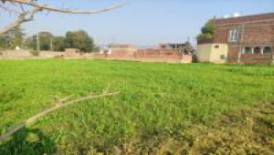 8 Marla Plot For Sale In G-14/1