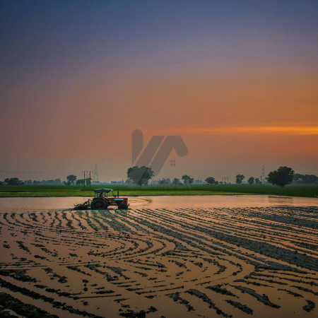 Best Industrial and Commercial Plots for Sale At Shiekhupura road Best For Investment