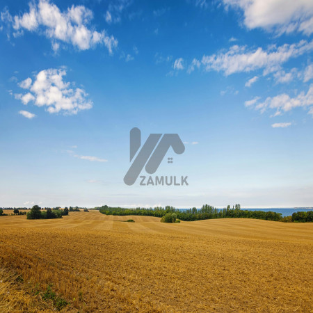 Ideal 1 Kanal Commercial Plot for Sale near Shahkot Tool Plaza best for Showroom, School and collage