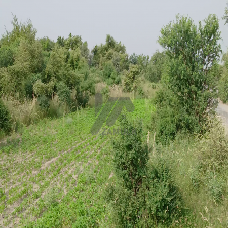 100 Kanals Agriculture Land for Sale Main Road with Water Dam in LAWA, District Talagang & Chakwal