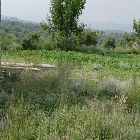 100 Kanals Agriculture Land for Sale Main Road with Water Dam in LAWA, District Talagang & Chakwal