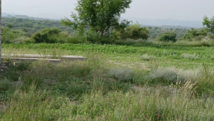 100 Kanals Agriculture Land for Sale Main Road with Water Dam in LAWA, District Talagang & Chakwal