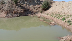 2,200 Kanals Agriculture Land For Sale with Water Dam in Talagang LAWA