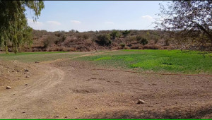 2,200 Kanals Agriculture Land For Sale with Water Dam in Talagang LAWA