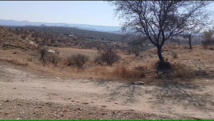 350 Kanals Agriculture Land for Sale in Lawa, Talagang, Chakwal