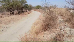 350 Kanals Agriculture Land for Sale in Lawa, Talagang, Chakwal