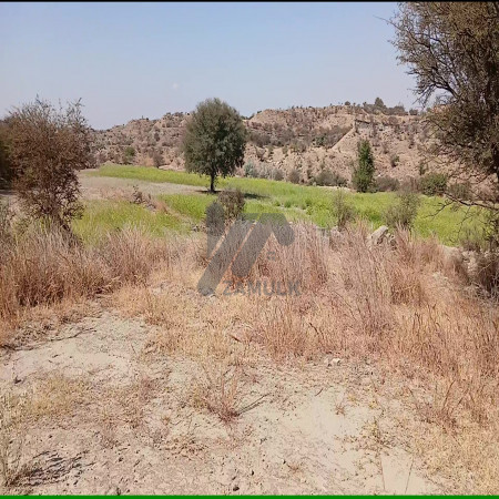 350 Kanals Agriculture Land for Sale in Lawa, Talagang, Chakwal