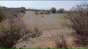 350 Kanals Agriculture Land for Sale in Lawa, Talagang, Chakwal