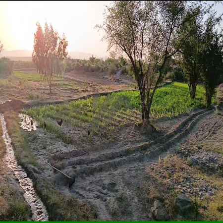 200 Kanals Agriculture Land for Sale in Lawa, Talagang, Chakwal