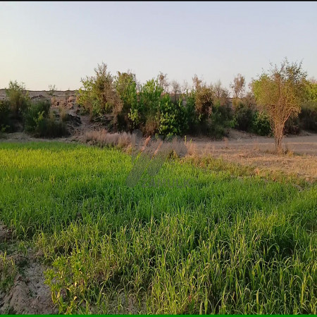 200 Kanals Agriculture Land for Sale in Lawa, Talagang, Chakwal