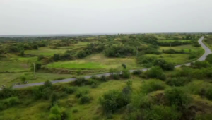 750 Kanal Agriculture Land in Chakwal, Talagang Highway 30 Ft Front