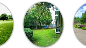 Residential Plot Is Available For Sale In Green Valley